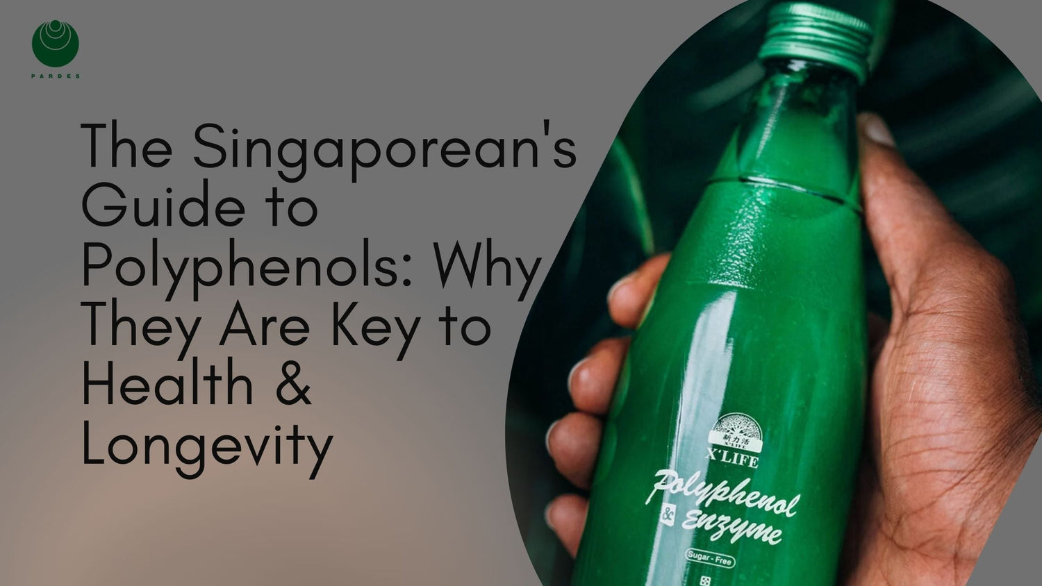 The Singaporean's Guide to Polyphenols: Why They Are Key to Health & Longevity
