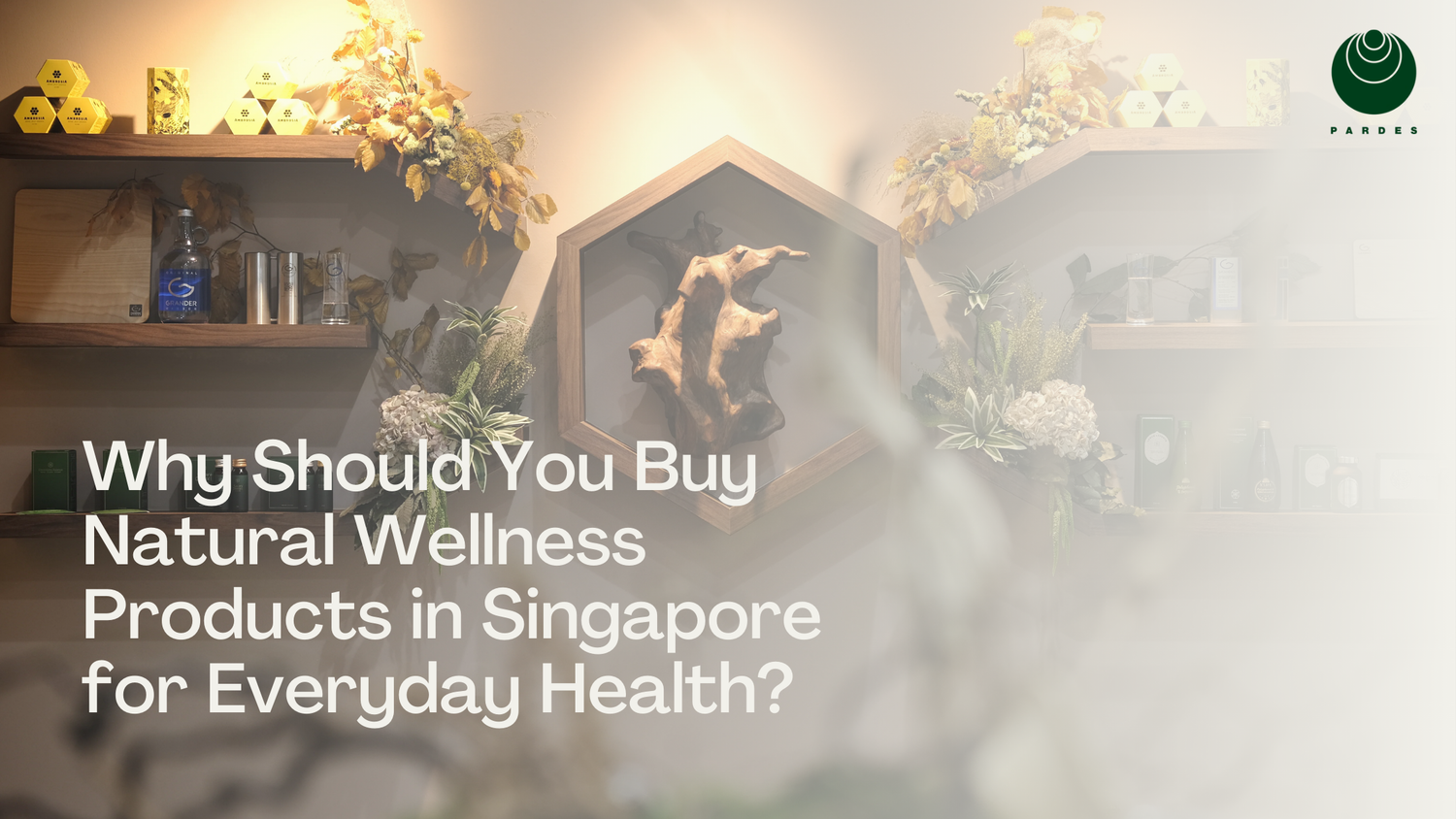 Why Should You Buy Natural Wellness Products in Singapore for Everyday Health?