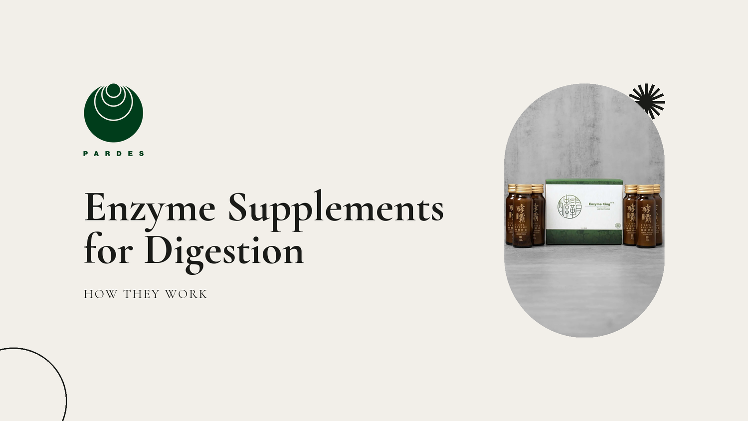 Enzyme Supplements for Digestion: How They Work