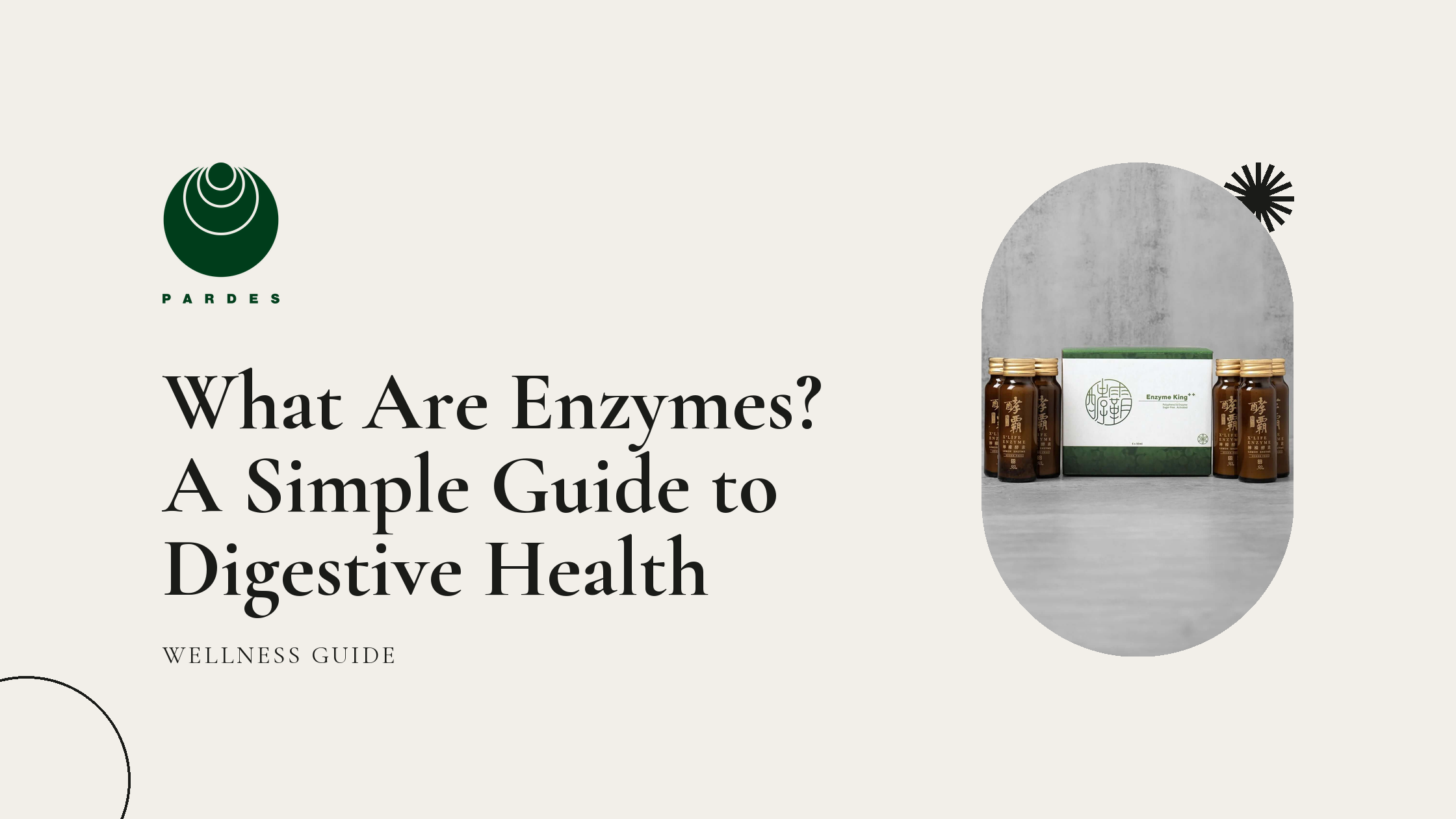 What Are Enzymes? A Simple Guide to Digestive Health