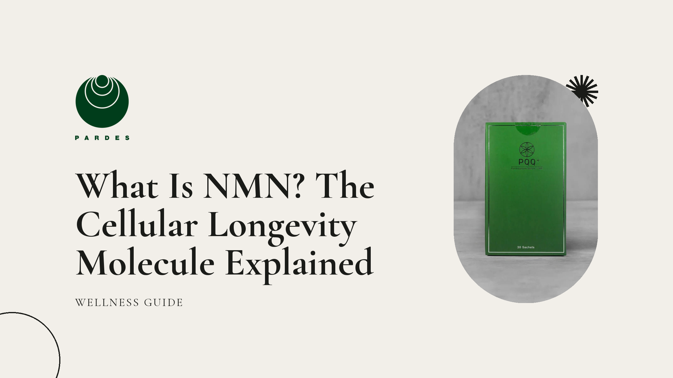 What Is NMN? The Cellular Longevity Molecule Explained